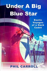 Cover image for Under a Big Blue Star