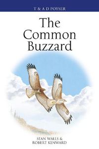 Cover image for The Common Buzzard