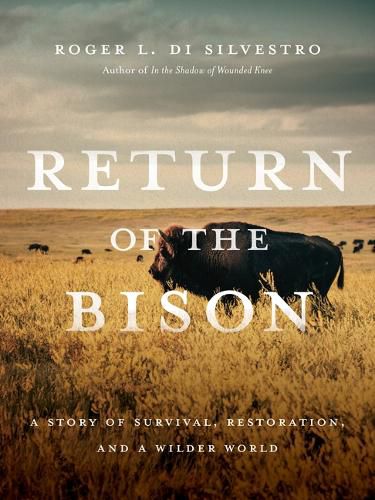 Cover image for Return of the Bison