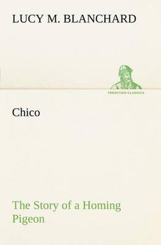 Cover image for Chico: the Story of a Homing Pigeon