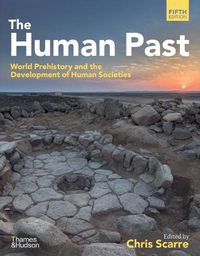 Cover image for The Human Past