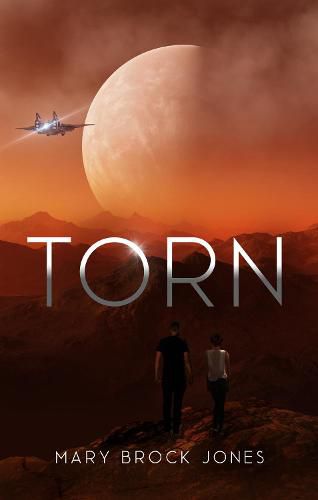 Cover image for Torn