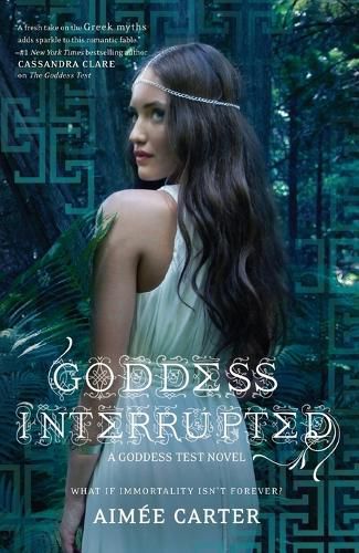 Cover image for Goddess Interrupted