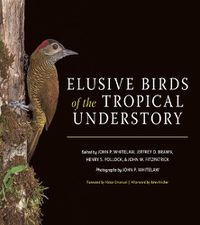 Cover image for Elusive Birds of the Tropical Understory