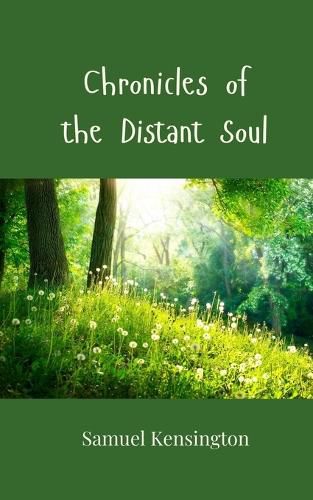 Cover image for Chronicles of the Distant Soul