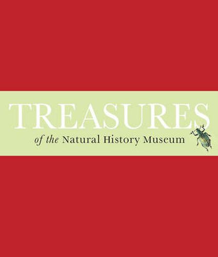 Cover image for Treasures of the Natural History Museum