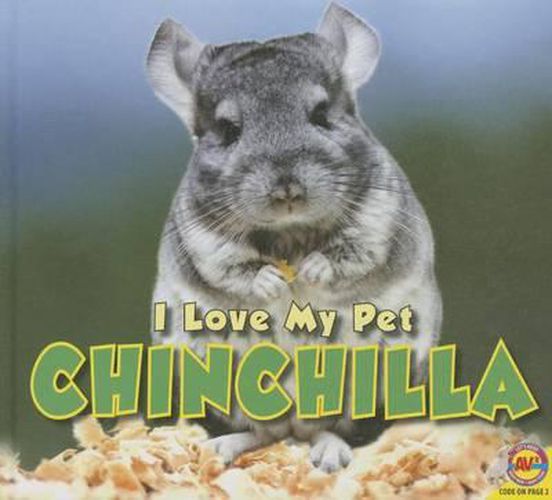 Cover image for Chinchilla