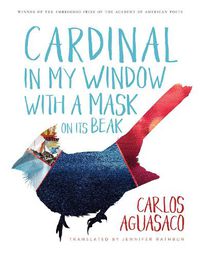 Cover image for Cardinal in My Window with a Mask on Its Beak