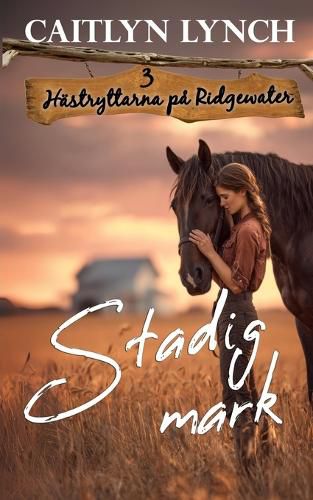 Cover image for Stadig mark