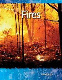 Cover image for Fires