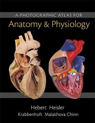 Cover image for Photographic Atlas for Anatomy & Physiology, A