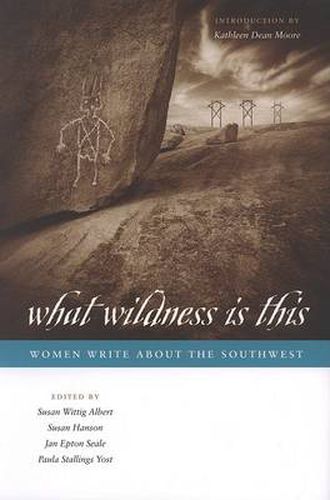 Cover image for What Wildness Is This: Women Write about the Southwest