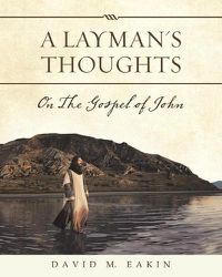 Cover image for A Layman's Thoughts: On the Gospel of John