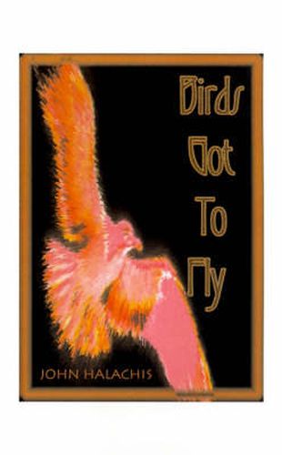 Cover image for Birds Got to Fly