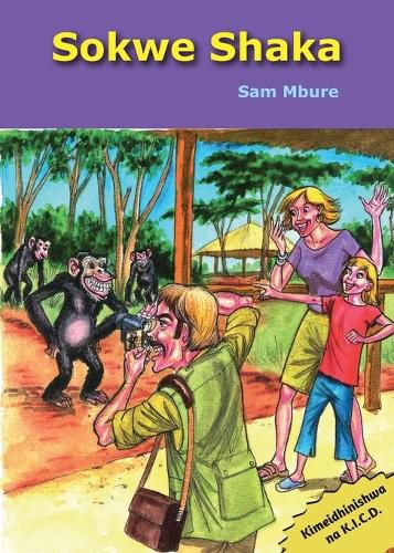 Cover image for Sokwe Shaka