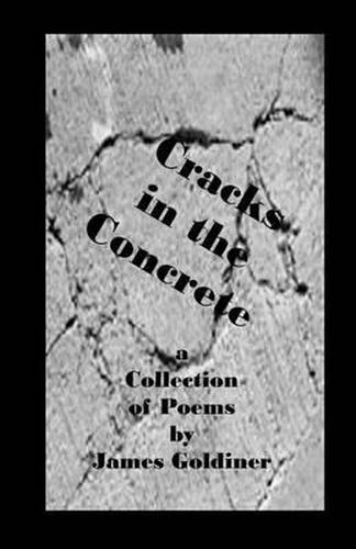 Cover image for Cracks in the Concrete