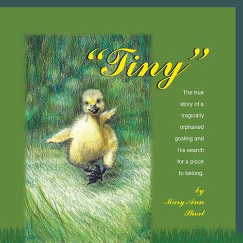Cover image for Tiny