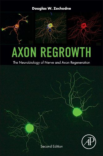 Cover image for Axon Regrowth