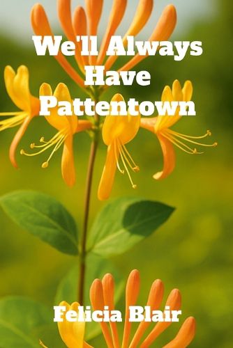 Cover image for We'll Always Have Pattentown