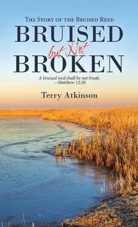 Cover image for Bruised but Not Broken: The Story of the Bruised Reed