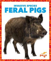 Cover image for Feral Pigs