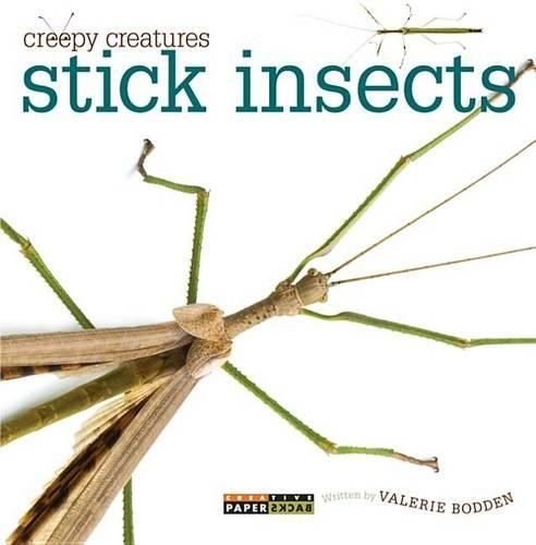 Cover image for Stick Insects