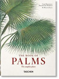 Cover image for Martius. The Book of Palms. 40th Ed.