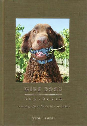 Cover image for Wine Dogs Australia: More Dogs from Australian Wineries