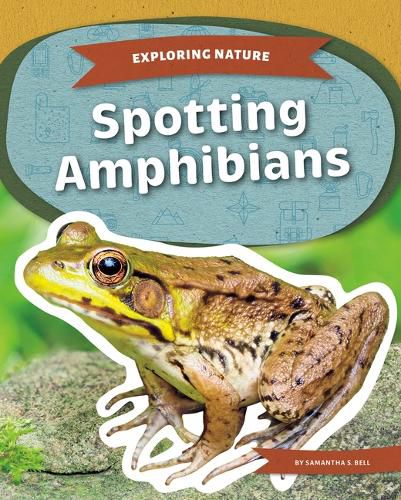 Cover image for Spotting Amphibians