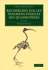 Cover image for Recherches sur les ossemens fossiles des quadrupedes