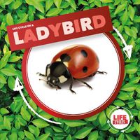 Cover image for Ladybird