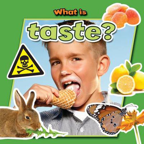 Cover image for What is Taste?