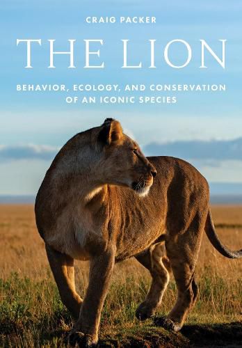 Cover image for The Lion: Behavior, Ecology, and Conservation of an Iconic Species