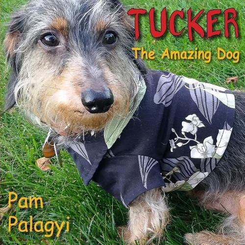 Cover image for Tucker: The Amazing Dog