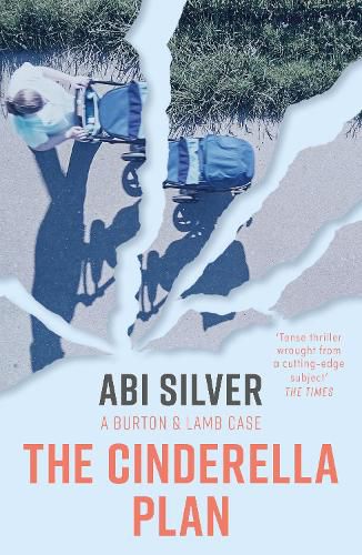 Cover image for The Cinderella Plan