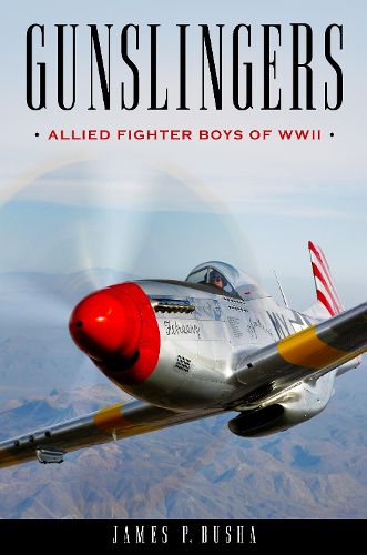 Cover image for Gunslingers: Allied Fighter Boys of WWII