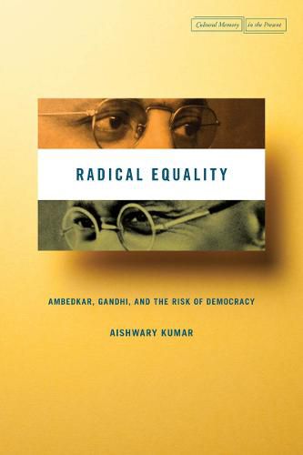 Cover image for Radical Equality: Ambedkar, Gandhi, and the Risk of Democracy