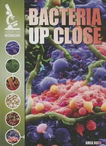 Cover image for Bacteria Up Close