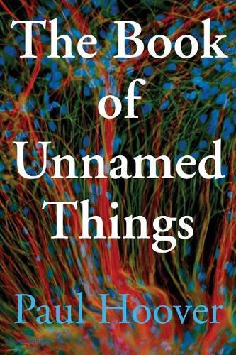 Cover image for The Book of Unnamed Things