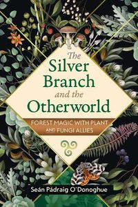 Cover image for The Silver Branch and the Otherworld