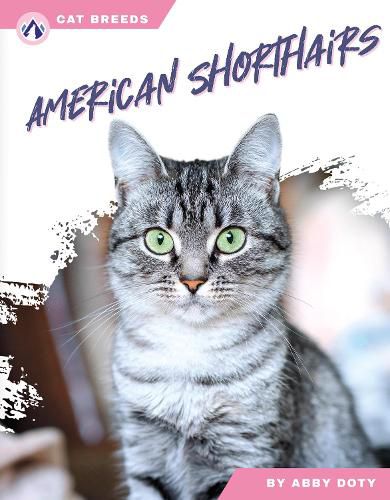 Cover image for American Shorthairs