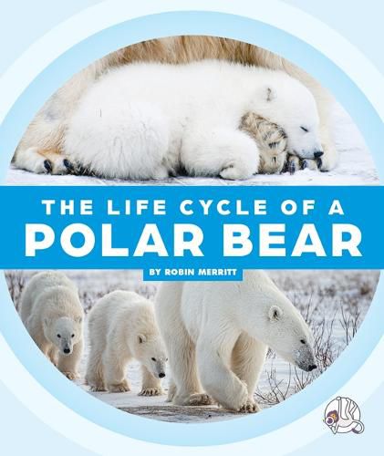 Cover image for The Life Cycle of a Polar Bear