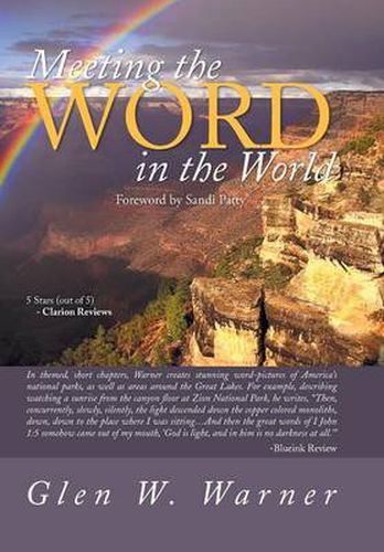 Cover image for Meeting the Word in the World