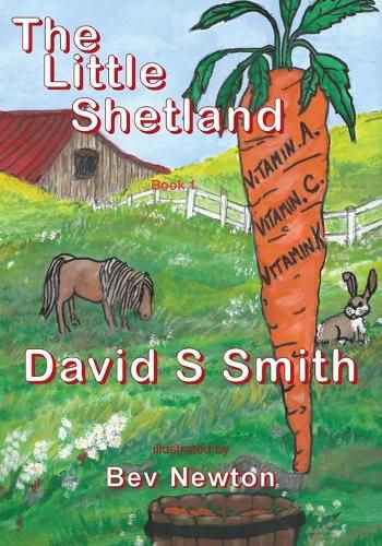 Cover image for The Little Shetland; Book 1