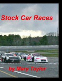 Cover image for Stock Car Races