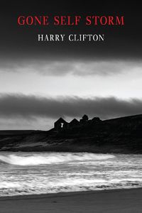 Cover image for Gone Self Storm