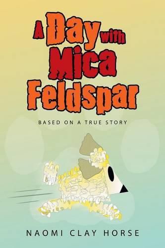 Cover image for A Day with Mica Feldspar: Based on a True Story