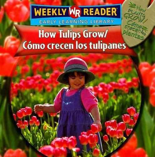 How Tulips Grow / Como Crecen Los Tulipanes