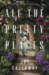 Cover image for All the Pretty Places: A Novel of the Gilded Age