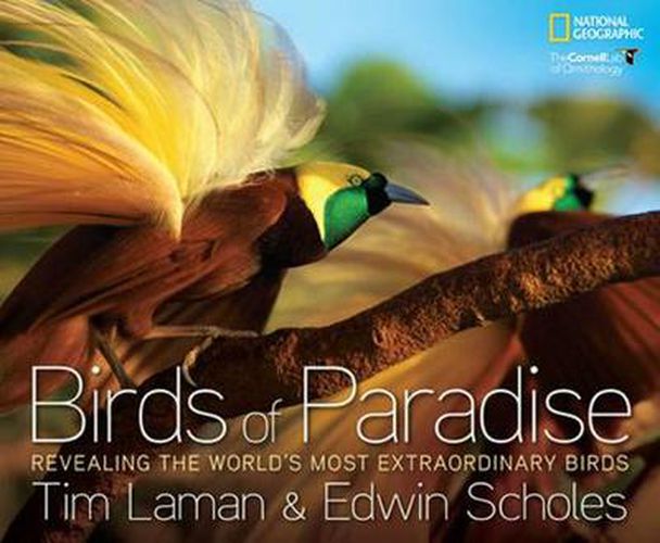 Cover image for Birds of Paradise: Revealing the World's Most Extraordinary Birds